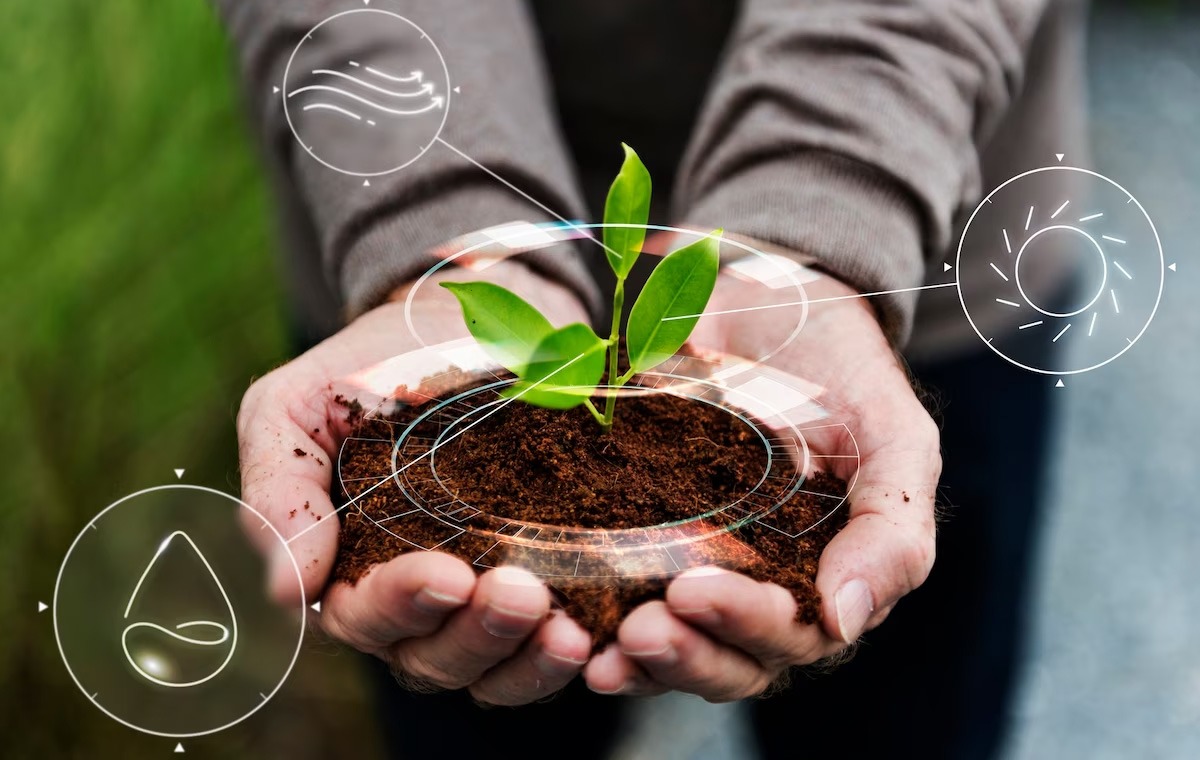 Improving Agricultural Efficiency with Blockchain Technology