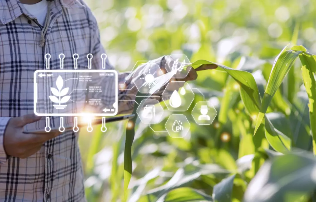 Improving Agricultural Efficiency with Blockchain Technology