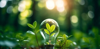 Microbial Energy Source: Soil as Power