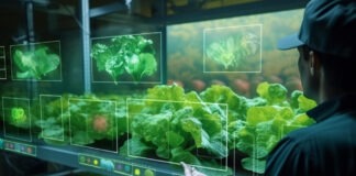 Elevating Assurance: A Focus on Prioritizing Food Safety and Transparency