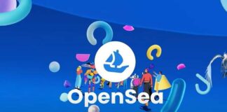 OpenSea Scammer Claims NFT Information Isn’t Property