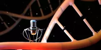 Exponential Self-Replication: The Breakthrough of DNA Nanobots