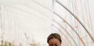 Kenyan Agtech Firm Shamba Pride Raises $3.7M for Merchant Network Growth