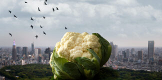 Combatting Food Waste Through Innovation