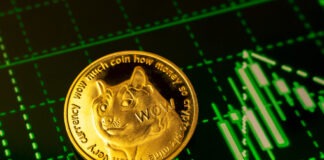 Elon Musk’s X Teases P2P Payments, Sparks 13% Surge in Dogecoin Price