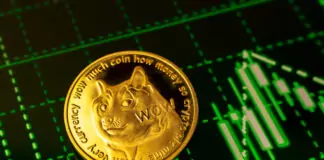 Elon Musk’s X Teases P2P Payments, Sparks 13% Surge in Dogecoin Price