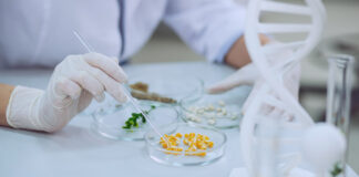 Exploring Novel Protein Sources: The Rise of Alternative Proteins