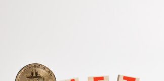 “Beyond Blockchain: The Evolution of NFTs and Bitcoin’s Dynamic Landscape”