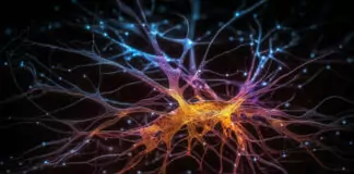 Neural Network Advancement: Stacking Hardware with ‘Neuron-Synapse-Neuron’ Blocks