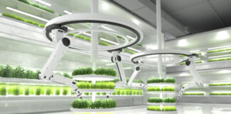Revolutionizing the Food Industry: Innovations in FoodTech Robotics