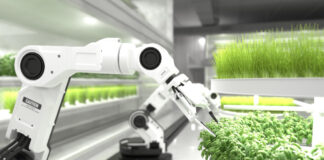 Tech Innovations in Culinary Arts: Unleashing the Potential of Robotics and 3D Food Printing