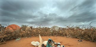 Bridging Climate Action and Conflict Areas: A New Hope from COP29 COP29 Panel on Climate Action and Conflict Zones