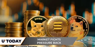 Shiba Inu, Solana, and Dogecoin: Navigating a Volatile Crypto Market Shiba Inu, Solana, and Dogecoin-Navigating a Volatile Crypto Market