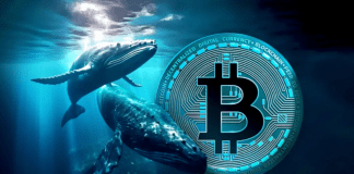 Bitcoin and Ethereum Whales Set to Trigger Retail FOMO Amid Macro Events Bitcoin and Ethereum whales driving FOMO ahead of macro events