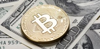 NFTs Hit $562M in Sales, RTFKT to Shut Down: Nifty Newsletter Update NFT Sales Surge in November, RTFKT to Close Operations in 2025