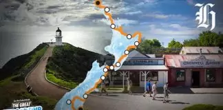 The Great New Zealand Road Trip: How MTF Fuels Financial Resilience and Economic Optimism The Great New Zealand Road Trip-How MTF Fuels Financial Resilience and Economic Optimism