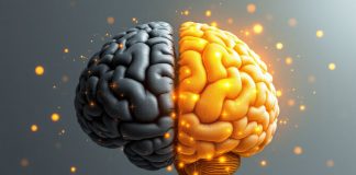 How the Brain Distinguishes Optimists from Pessimists: Neuroscience Reveals Why Optimists Think Alike