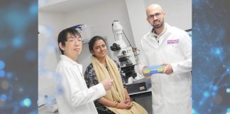 Manchester Scientists Develop Brain-Like Memory in Nanofluidic Devices