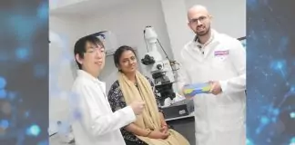 Manchester Scientists Develop Brain-Like Memory in Nanofluidic Devices