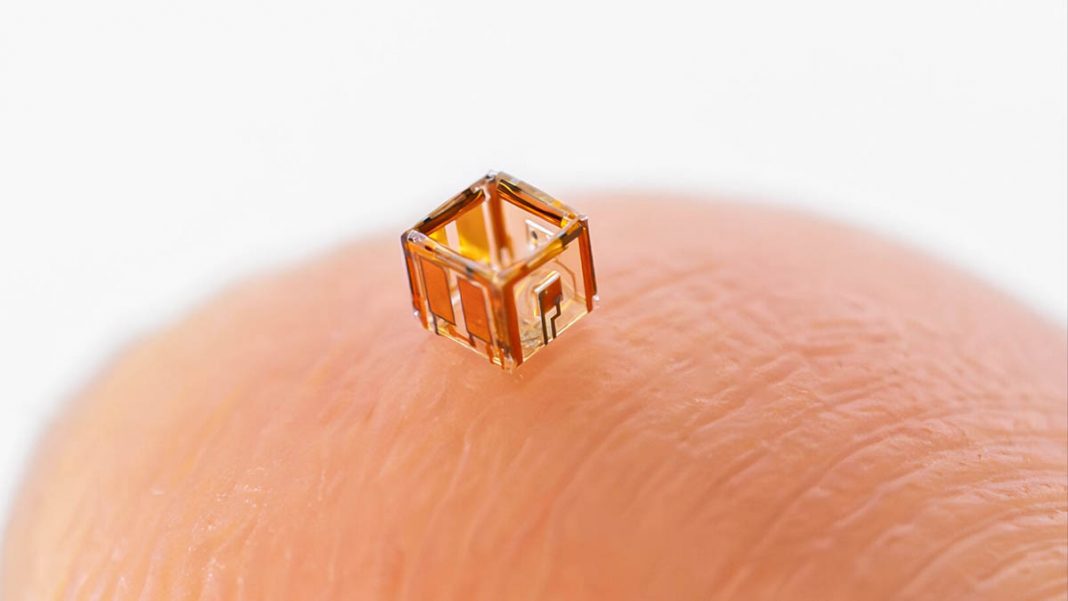 Smart Microrobots Learn to Communicate and Collaborate in Water