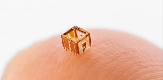 Smart Microrobots Learn to Communicate and Collaborate in Water