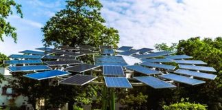 Solar Trees: A Breakthrough Innovation to Generate Power Without Cutting Forests