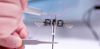 MIT Students Design Robo-Bee to Revolutionize Pollination and Space Exploration