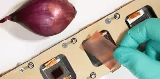 Onion Peel Extract Outperforms Industrial Films in Protecting Solar Cells from UV Damage