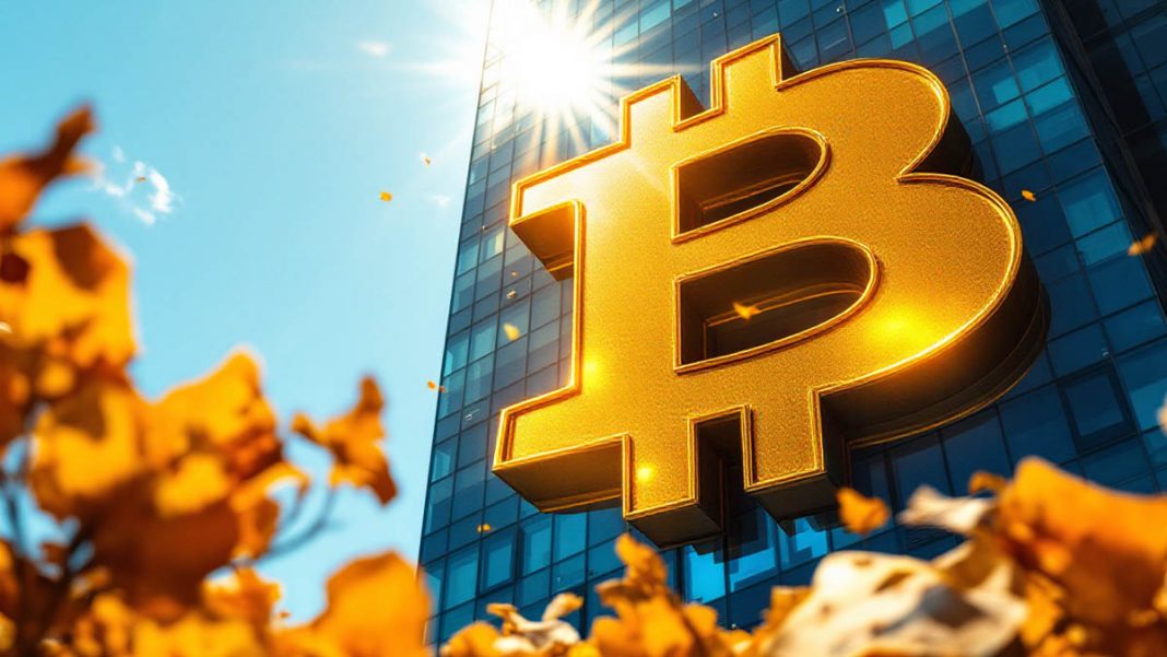 South African Firm Bets on Bitcoin to Tackle Inflation and Currency Devaluation