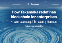 How Takamaka works: A native blockchain designed for enterprise